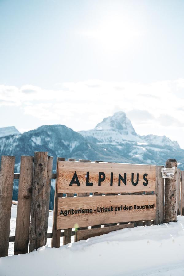شقة Alpinus Agriturism سان مارتينو-إن-باديا المظهر الخارجي الصورة