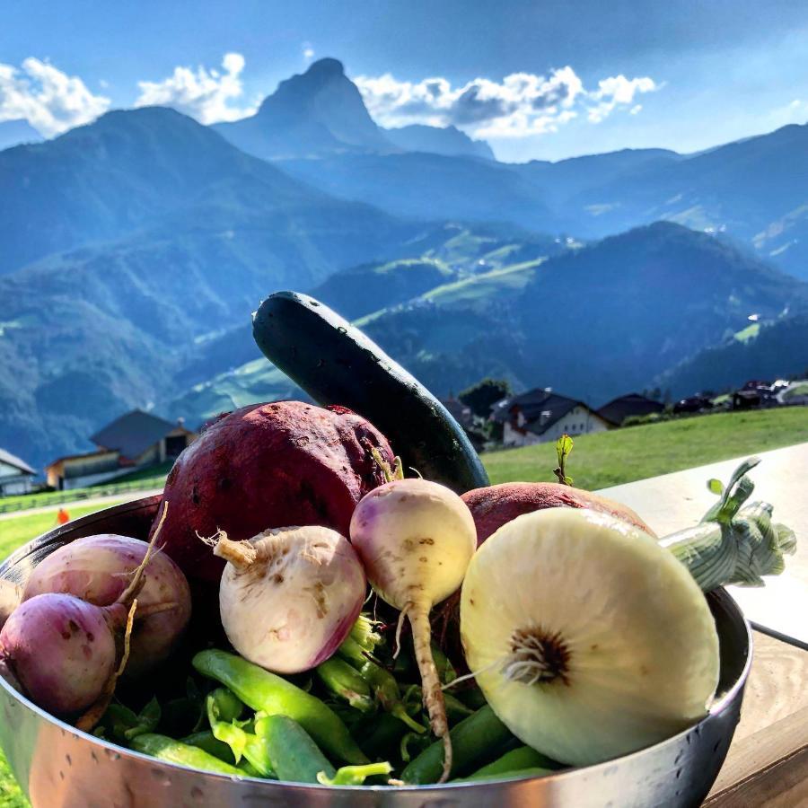 شقة Alpinus Agriturism سان مارتينو-إن-باديا المظهر الخارجي الصورة