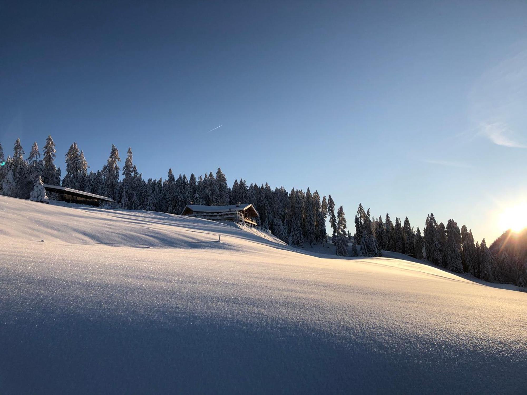 شقة Alpinus Agriturism سان مارتينو-إن-باديا المظهر الخارجي الصورة